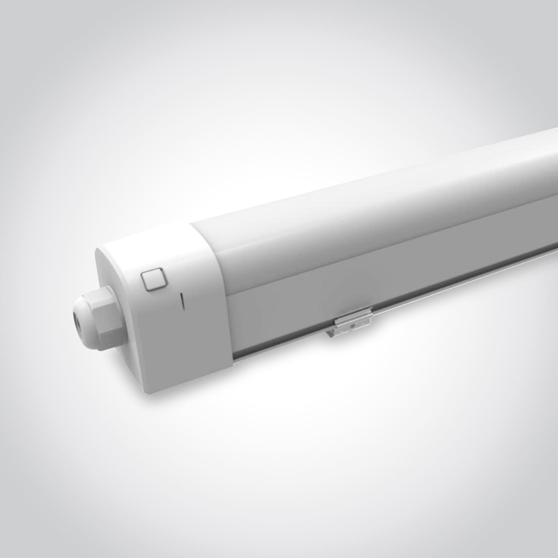 IP65 Batten 1003.1022